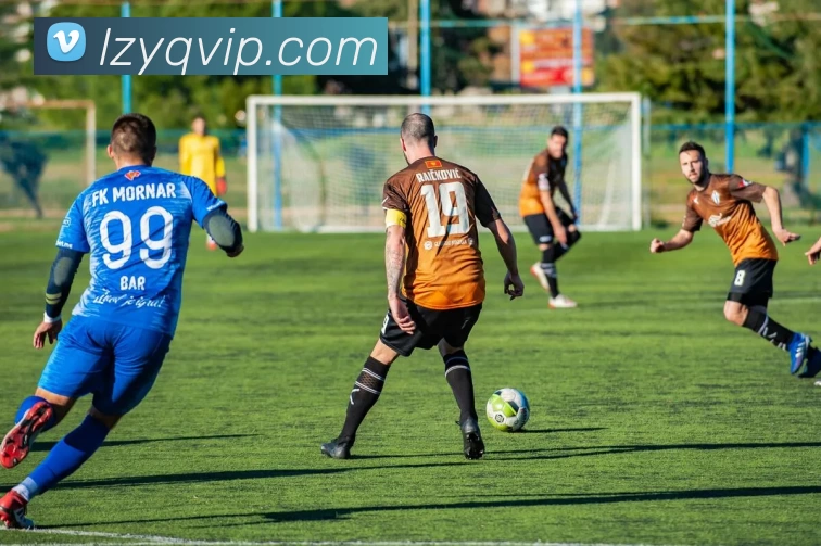 老子有钱娱乐城官网平台生态图